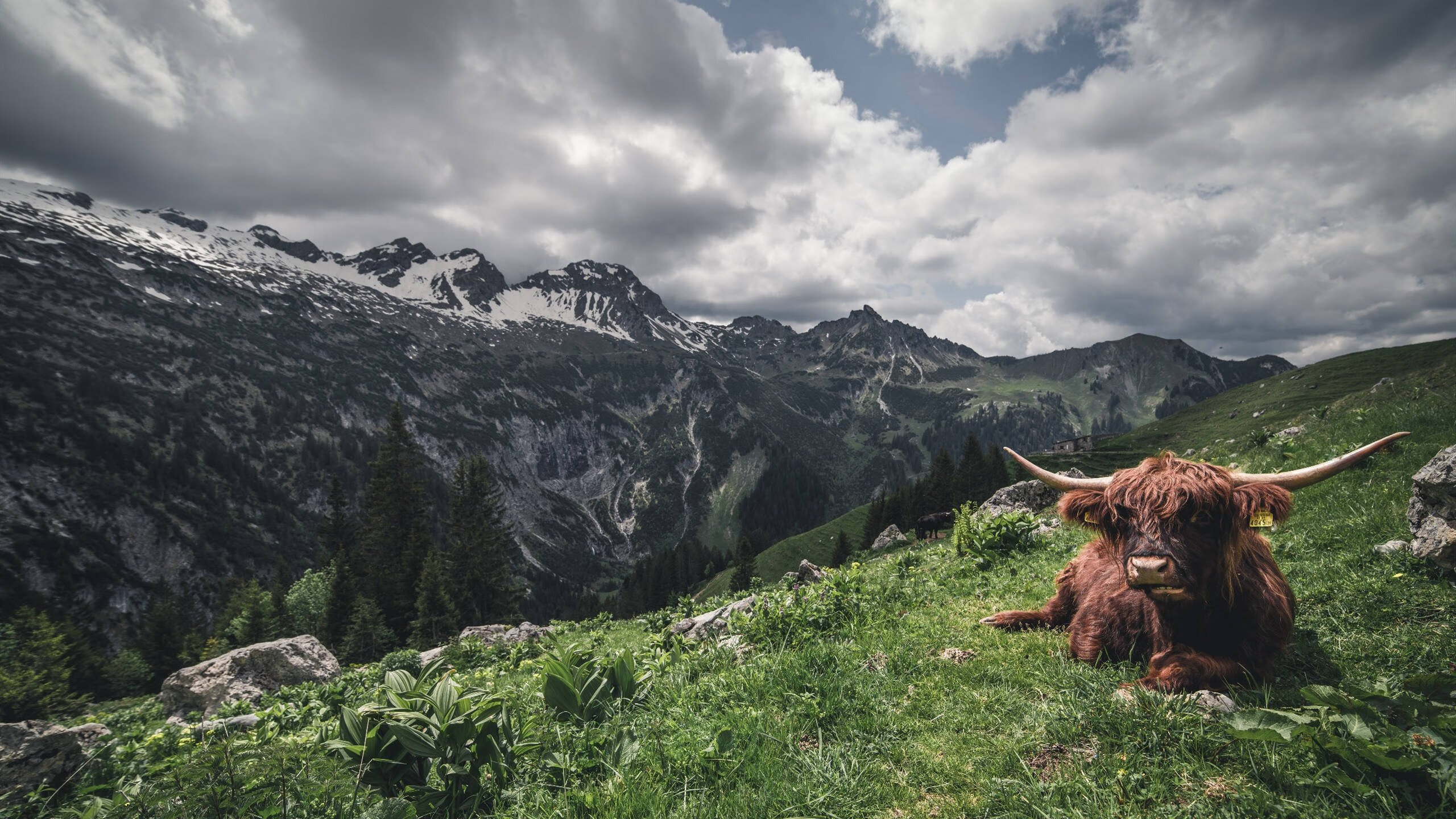 当红牛机器邂逅加勒比飓风,厄德高火烫状态照亮友谊赛的哲学意义