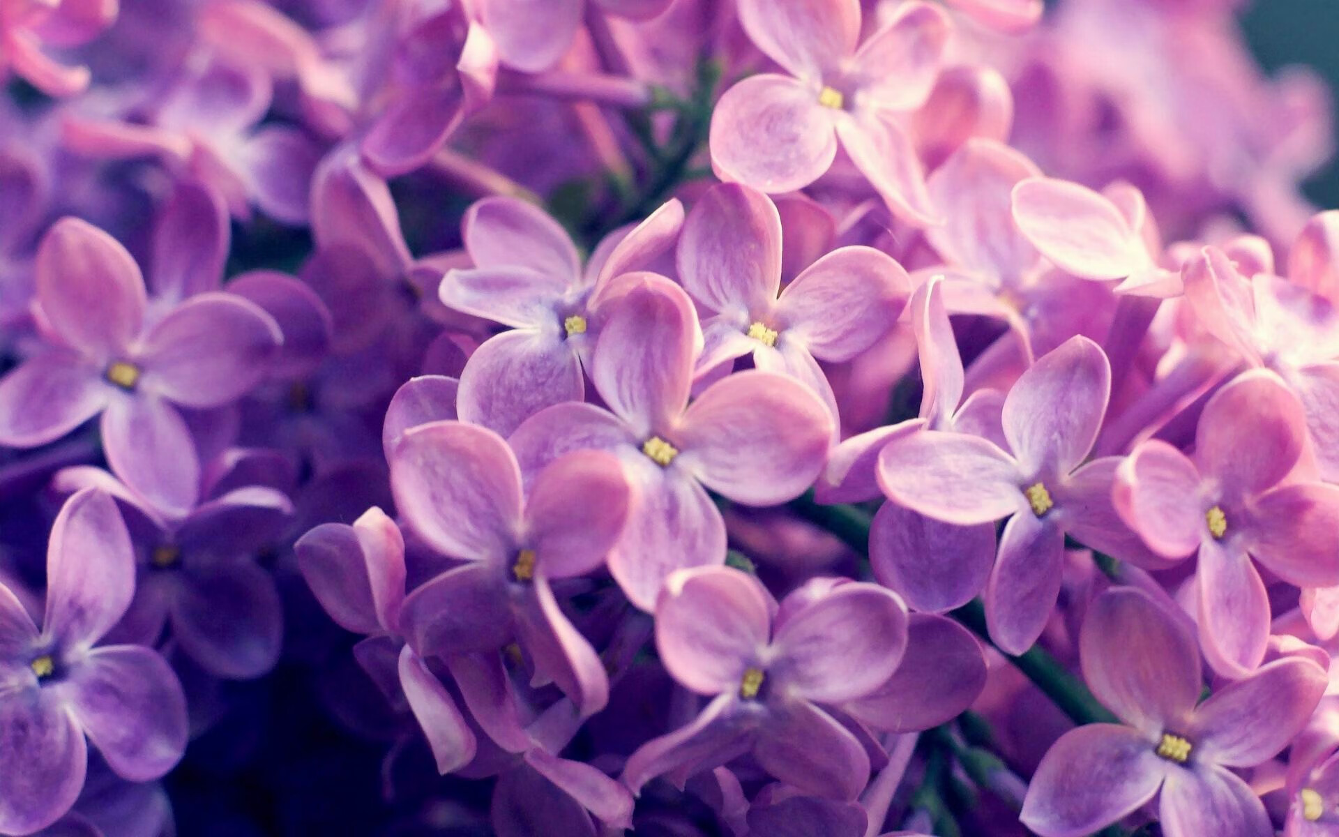 冰封的火山，哈兰德如何在死寂中点燃挪威的未来