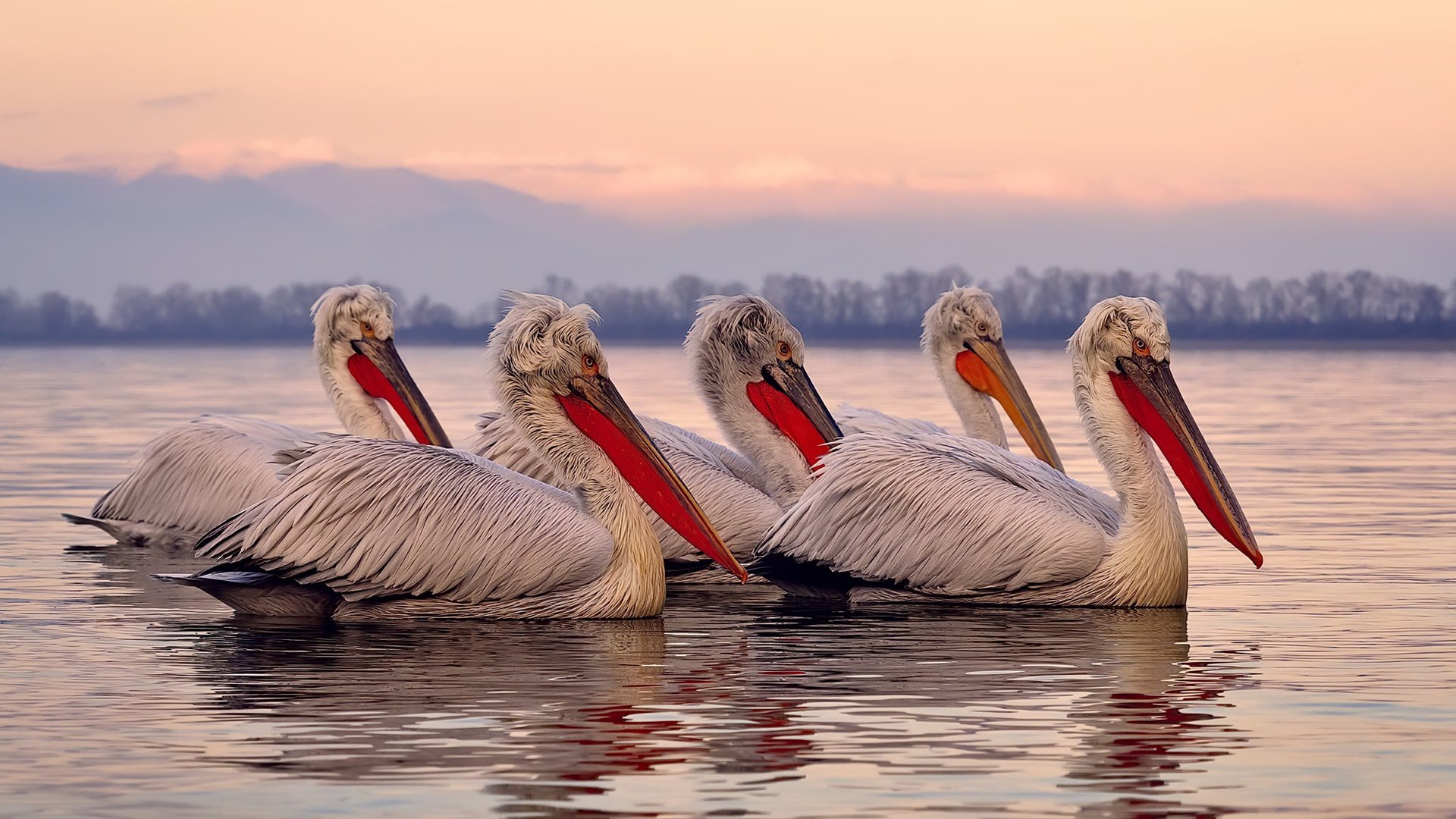 欧冠半决赛之夜,努涅斯用他的方式,解开神鬼命题的唯一钥匙