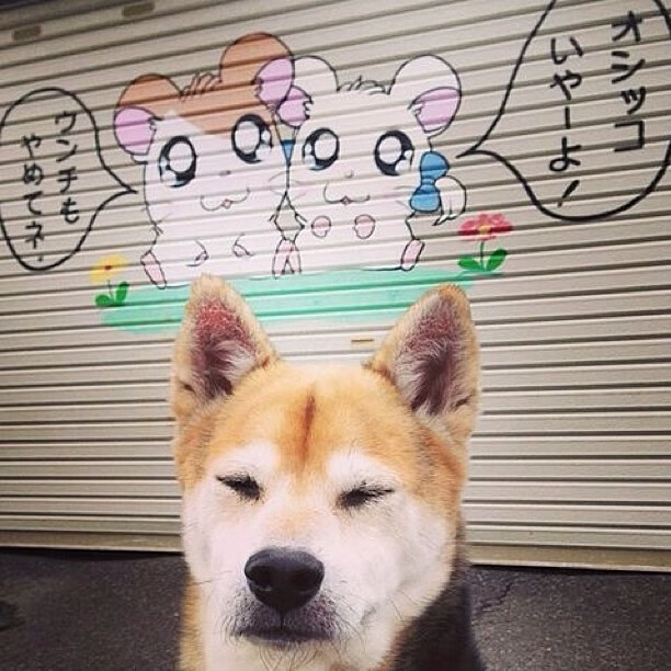 开云体育APP下载-安哥拉之夜，坎特一夫当关，切尔西攻防艺术征服非洲