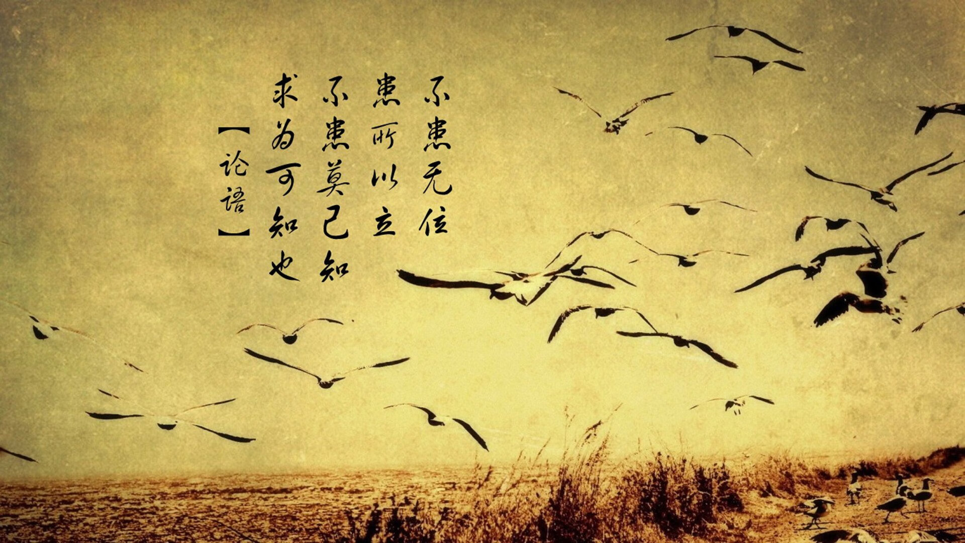 毕尔巴鄂1-0洪都拉斯竞技，莫德里奇上演中场大师课