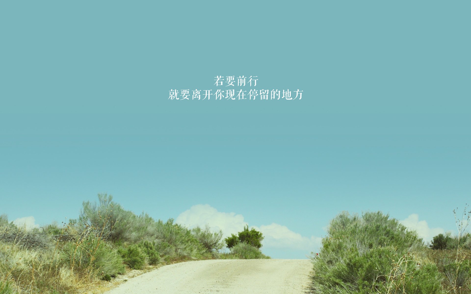 开云体育入口-荣耀之巅，2026世界杯的宿命对决—塞尔维亚钢铁防线与喀麦隆雄狮的生死劫，登贝莱一剑封喉